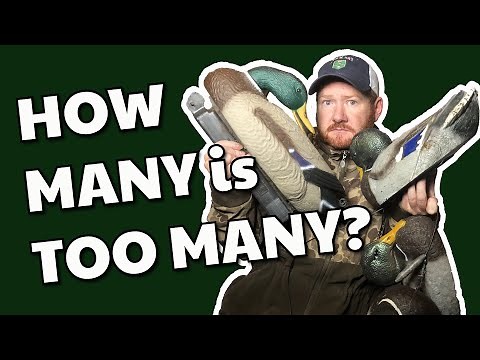 Duck Hunting | Decoy Tips and Strategies