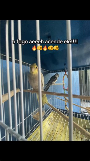 How to Ignite the Perfect Flames for Your Fire