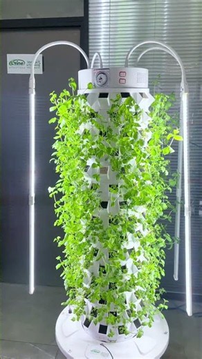 Indoor Hydroponic Tower Setup with Grow Lights 🌱💡 Perfect for Home Growing