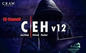 EC-Council Certified Ethical Hacker CEH v13 AI Course in Delhi, India