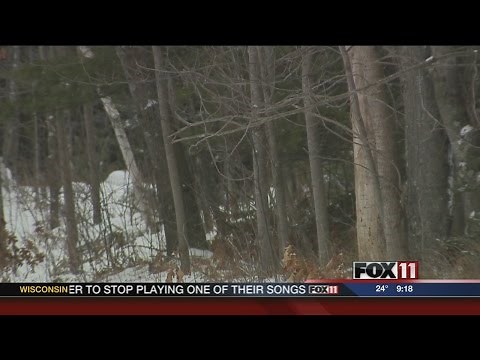 Wolves kill more dogs than normal this month