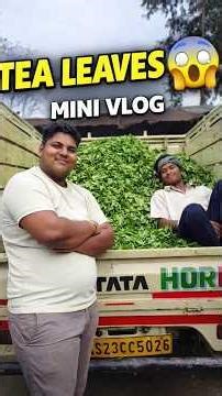 Tea Lips Collection 😱 Mini Vlog! #minivlog #vairal #shorts #tea #tealover