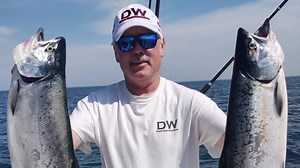 15 reactions | Daily video #32: Dreamweaver Ninja Boards Simply the...