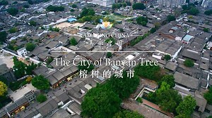 Fuzhou, the capital city of southeast China's Fujian Province, is nicknamed Rongcheng, which literally translates as "The City of the Banyan Tree." What is the origin of the nickname? And how did the city grow with the banyan trees? Take a look. #AmazingChina | CGTN