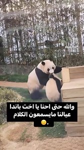 7.4M views · 56K reactions | 藍藍藍 | Kitty Kids | Facebook