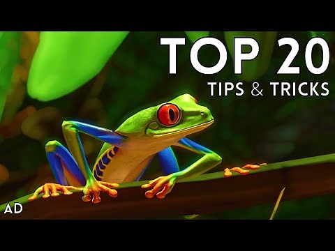 Top 20 Tips & Tricks in Planet Zoo
