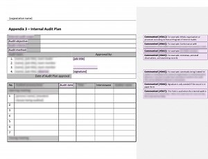 Internal Audit Plan [ISO 45001 documents]