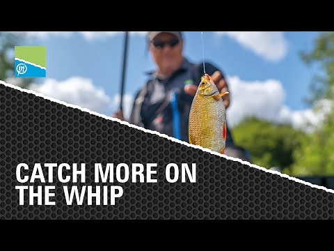 HOW TO CATCH MORE ON THE WHIP | WHIP FISHING TACTICS