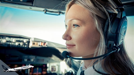 How the autopilot works - Boeing 737