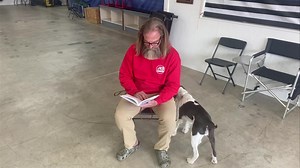 498K views · 390 reactions | First lesson of “sit on the dog”. When they do something adorable and you have to just ignore them  otherwise the lesson is failed. | K9 Command | Facebook