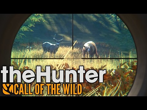 Rare Cinnamon Black Bear Hunting! - TheHunter: Call of the Wild Gameplay