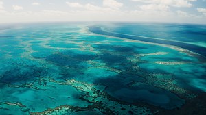 3.6K views · 138 reactions | Is there anything more rejuvinating than this? For your chance to win the window, head to pedestrian.tv/whitsundays-windows/ | Lifehacker Australia | Facebook