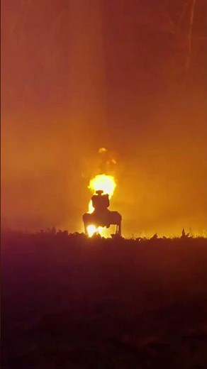 Check out this flamethrower robot dog for sale by Ohio-based company