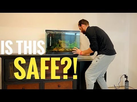 HOW TO move a FISH TANK safely | Beautiful Planted Aquarium Cinematic