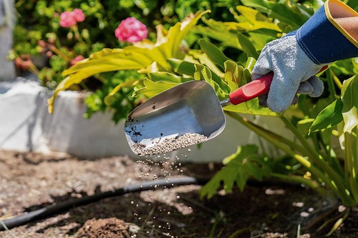 Garden Lime: What It Is & Its Uses in Landscaping