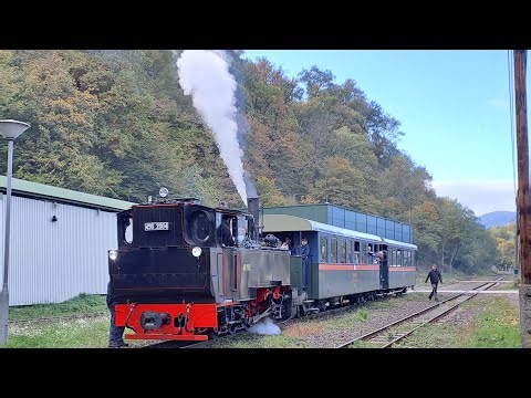 Gőzvontatású nosztalgiavonat a Királyréti Kisvasúton! 2-rész. 2025.10.12. 15:00