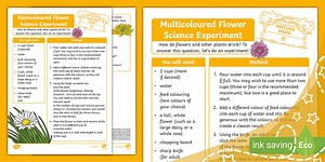 Multicoloured Flower Science Experiment