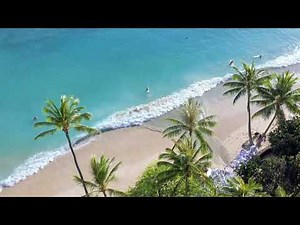 Beautiful Nature Background from Pexels - Free Download