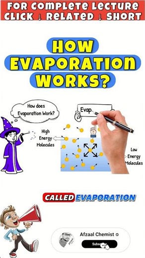 How Evaporation Works? #evaporation #evaporationprocess #chemistry #education #shorts