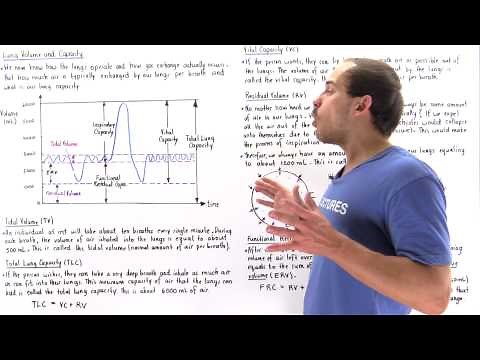 Lung Capacity and Volume