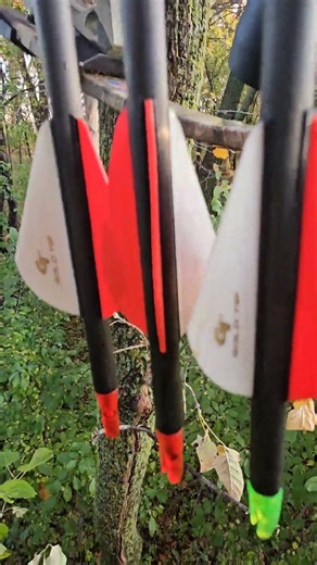 Ole trusty Bowtech Assassin going on my 6th archery season with it