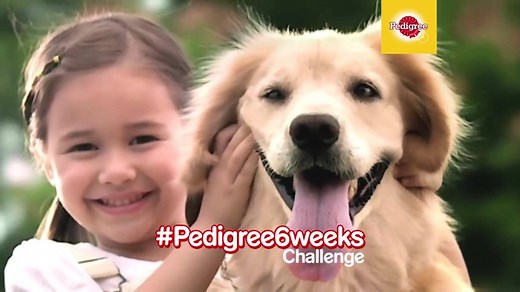 How long does it take for your dog to start showing the 5 Signs of Good Health? Just 6 weeks with Pedigree! Take the #Pedigree6Weeks challenge and see the furtastic difference yourself. :) | Pedigree Philippines