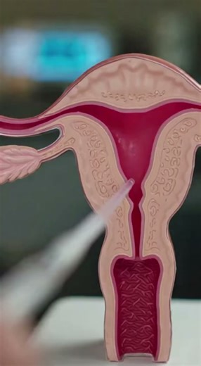 How IVF Actually Happens | Inside Modern Fertility Science