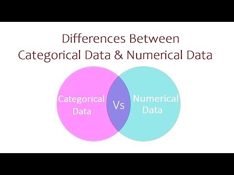 Differences Between Categorical Data and Numerical Data