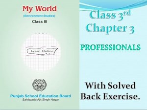 |Class 3rd|EVS|PSEB| Chapter 3[Professionals]