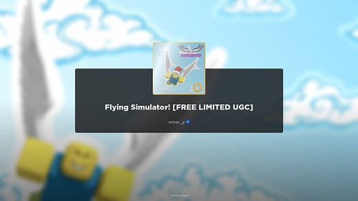 Flying Simulator Codes (2024)