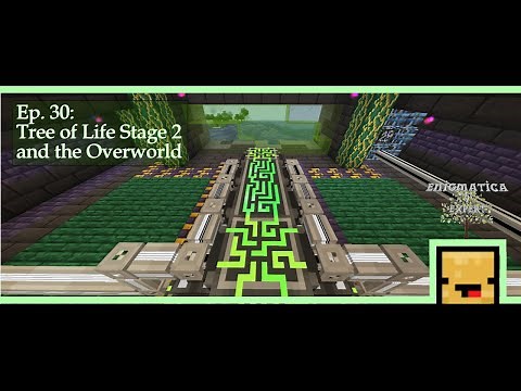 Enigmatica 9: Expert | Tree of Life Stage 2 and the Overworld | E9E #030