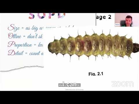 How to perfect biological drawings 🐛 for IGCSE Biology learn it from an expert!