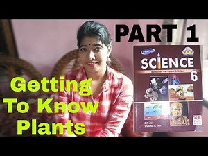 Class 6 Science Chapter 7 || CBSE Board || Prachi || Getting To Know Plants (Part 1)