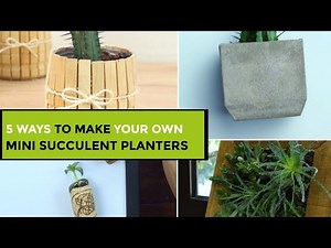 5 Ways To Make Your Own Mini Succulent Planters