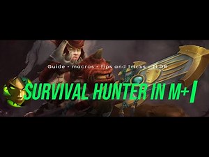Survival Hunter in m+ | WoW Guide 2023 | Tips and tricks | Macros | TLDR