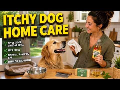 How to Relieve Your Dog’s Itchy Skin at Home Without Chemicals