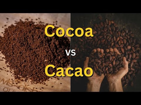 Cacao vs Cocoa: The Chocolate Difference No One Told You About 🍫