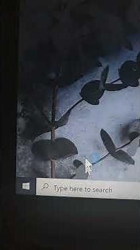 How to open internet properties in windows 10? inetcpl.cpl #short