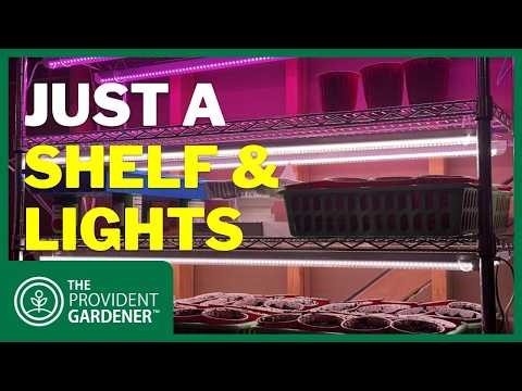 Simple Basement Grow Light Setup (Shelf + LED Specs Included)