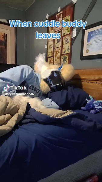 I want my cuddle buddy back! 😫 #fypシ #furryfyp #furry #furryfandom #furtok #fursuit #fursuiter #protogenfursuit #protogenfurry #protogen #toaster #BG #BG606 #brycegaming #Brycegaming606