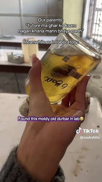 Laboratory Discoveries: Exploring Moldy Old Durbar