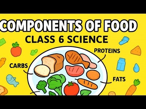Components of Food, Part 1 | Class 6 Science | Learn Science with Divya