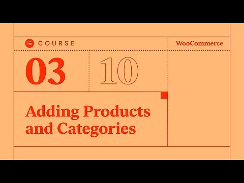 [03] Adding Products & Categories