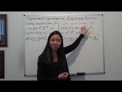 Lagrangian Expression: the Difference between Maximization and Minimization