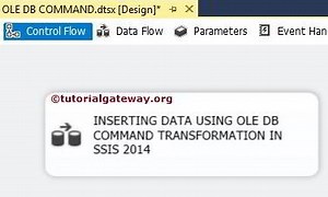 OLE DB Command Transformation in SSIS