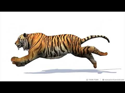 Meet life-sized animals at your home with Google 3D AR animals