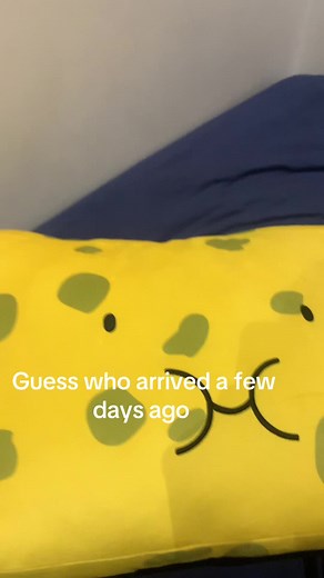 BFDI Plushies Arrive: New Additions to Your Collection