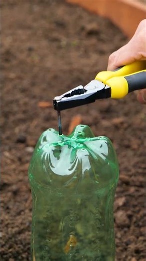 Backyard Bliss: 10 Quirky Garden Hacks You Need to Try in 2025! 🌼✨