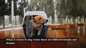 ¾ or 20mm Bench Dog Holes (What’s the Measurement?)