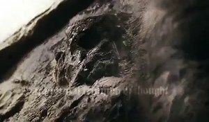 15K views · 894 reactions | Live in 8 min https://www.youtube.com/watch?v=uhoMfXuUqWg | The True Mayhem | Facebook